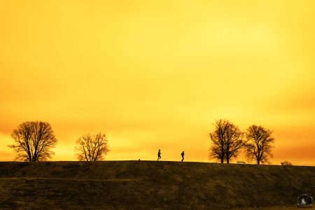 Sunset Runners
